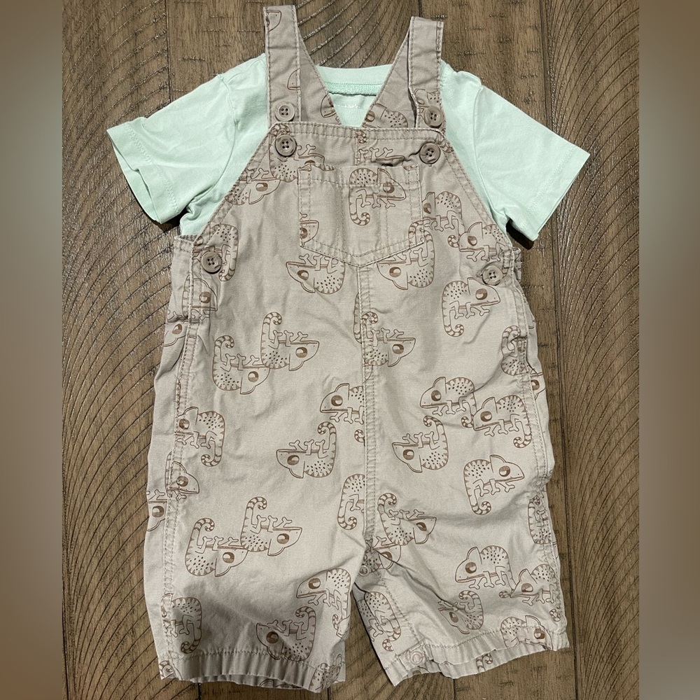 Carter’s Boys 24M chameleon overall outfit
